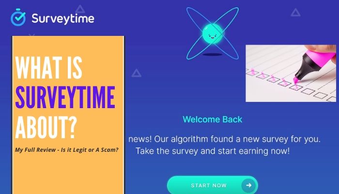 What is Surveytime about